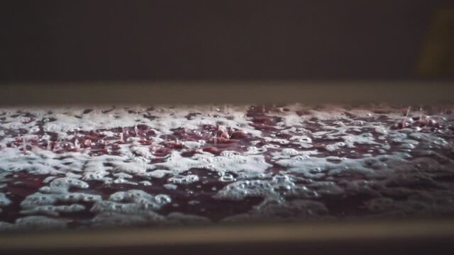 red grape juice flowing from the winepress