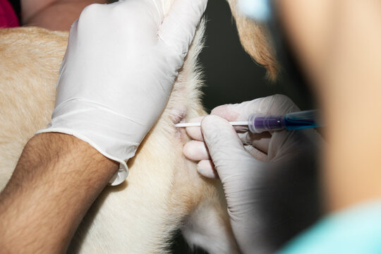 Inserting a rectal swab