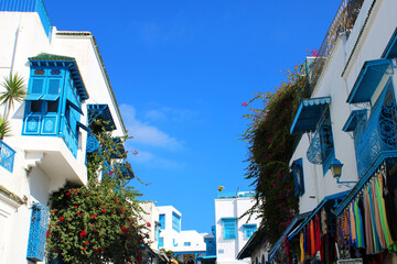 Sidi Bou Said, Tunisie, le jour ensoleill&eacute;, destination de voyage, visiter la Tunisie