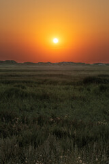 Sunset over the grassland between the dike and the beach on the North Sea coast in an upright picture.