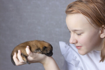 A girl in a white jumper holds a newborn Pomeranian puppy near her face. The concept of animal health, breeding puppies, care for the animals