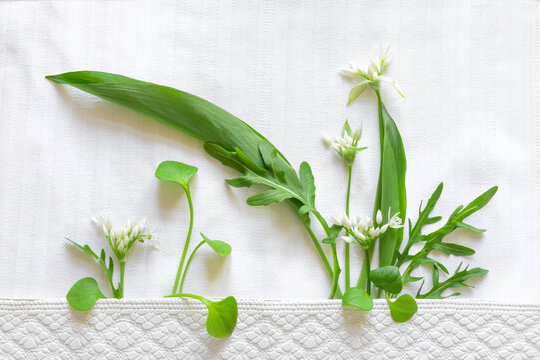 Purslane, wild garlic with leaves and flowers and arugula