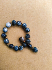 Seeds of Job's tears, scientific name Coix lacryma-jobi, arranged in a 