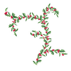 Illustration of Holly Branch