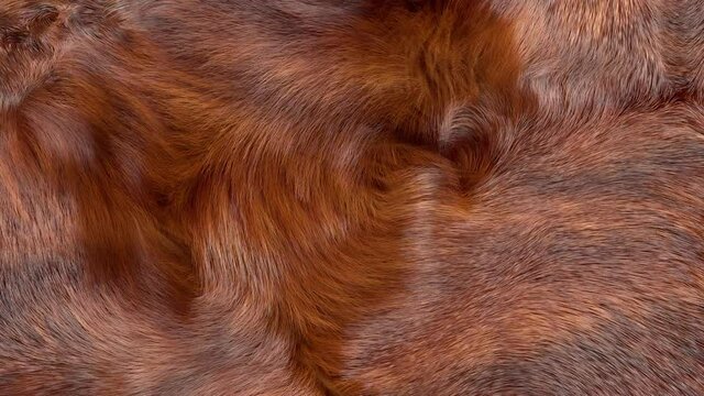 Close up of brown fur animation, 3D generated, slow motion brown soft fur texture.