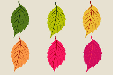 Autumn or Fall illustration leaves set