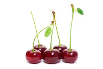Cherry on a white background..