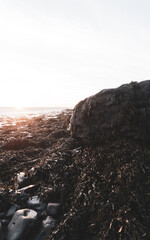 Lake District and beyond