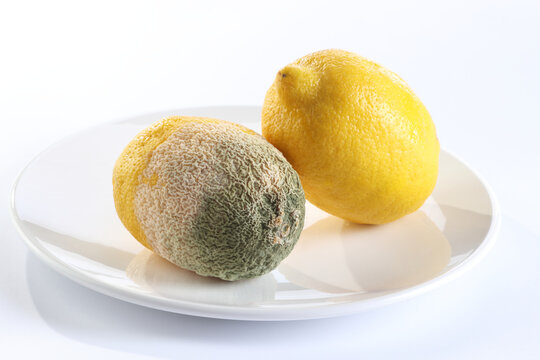 Fresh and moldy lemon