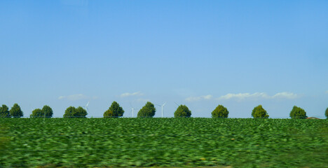 Large wind turbines to generate electricity on a field in Germany. Large trees in a row. - 395604830