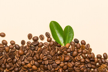 coffee beans in studio