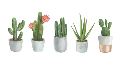 Set of watercolor cacti. Houseplants in pots. Isolated objects on white background