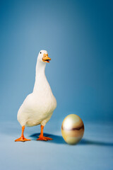 Goose Standing By Golden Egg