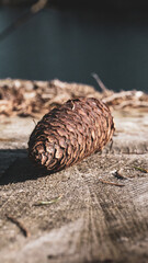 A little bit of travel