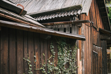 Exploring, around Hallstatter lake