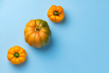 Pumpkin and two peppers on blue background