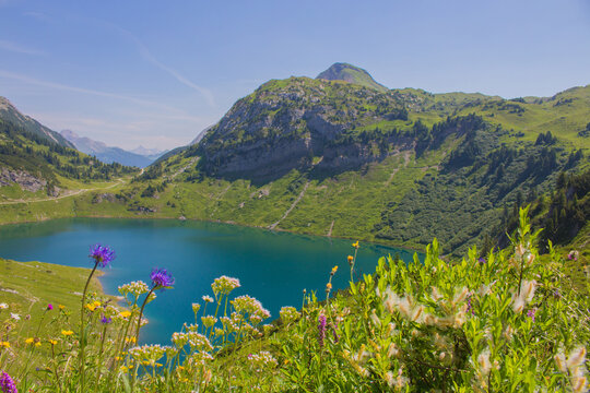 Formarinsee