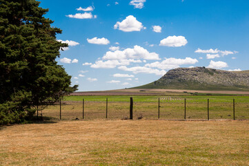 Fototapeta na wymiar landscape with a fence