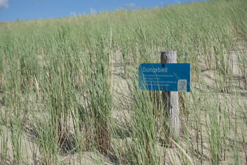 dunes on the beach in summer

