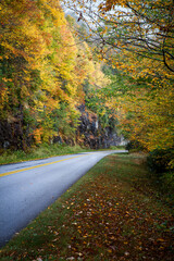 Blue Ridge Parkway surrounded by fall color