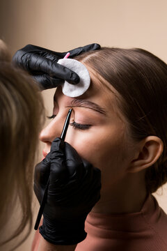 A master makes eyebrow dyeing for a beautiful Caucasian girl. Coloring with paint, eyebrow makeup. Eyebrow shaping