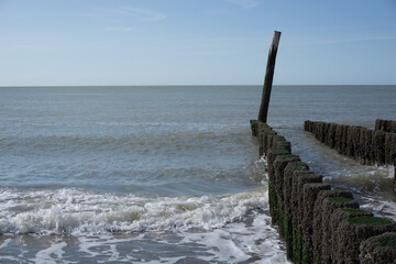 breakwater on the beach in summer with the sea
