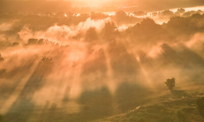 Aerial view Sunrise of meadow with forest in sunlight and mist