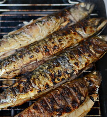 Barbecue with fish. Grilled mackerel fish. Fatty, oily fish is an excellent and healthy source of DHA and EPA, which are two key types of omega-3 acid.