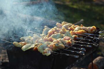 Tasty chicken wings on barbeque party