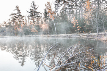 Frosty, Foggy Pond