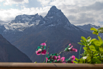 landscape with flowers and mountains
