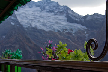 landscape with flowers and mountains