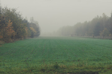 Obraz na płótnie Canvas Foggy field in fall