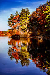 Reflections of Birch Pond