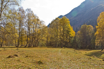 autumn in the mountains