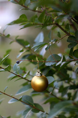 Golden Christmas bauble hanging in the garden. Selective focus. 