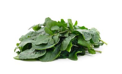 Green leaves of arugula.