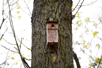 Wooden bird house on a tree in autumn