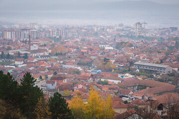 Fototapeta premium Misty, hazy, Pirot cityscape during autumn and foreground pine trees and silver birch trees with gold colored leaves