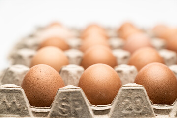 Eggs on a tray close-up