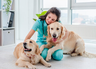 Pair of golden retriever dogs beside veterinarian