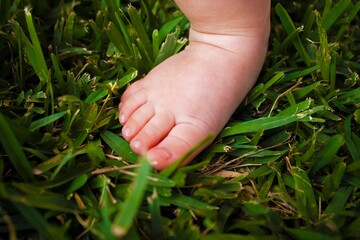 My Baby´s Feet