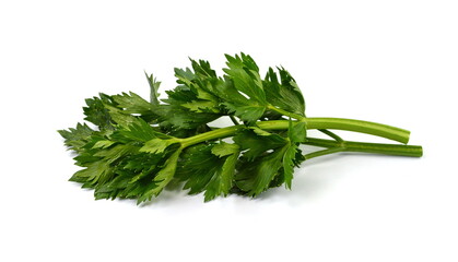 Celery branch and leaves isolated on white background.