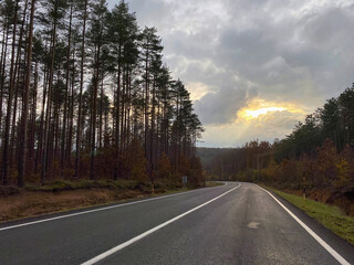Fototapeta premium lake and reeds next to the sea in autumn