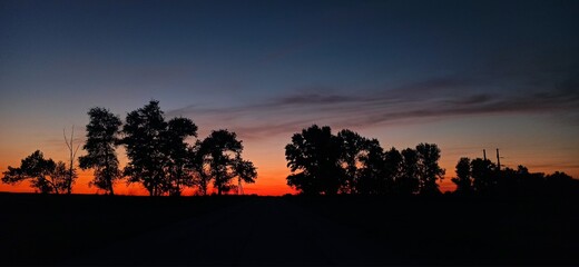 sunset in the forest