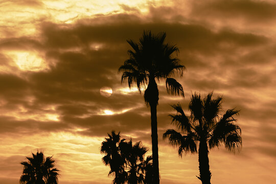 Santa Barbara California Sunset