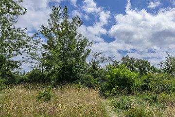 Obraz premium Hanging gardens of Le Havre (Jardins suspendusa) occupy a 17-hectare site in district of Sanvic in Le Havre. Hanging Gardens had some 3,700 plant. Le Havre, France. 