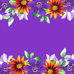 Beautiful flower frame made of clematis and gazania. Isolated