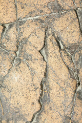 Natural rock or Stone surface as background texture