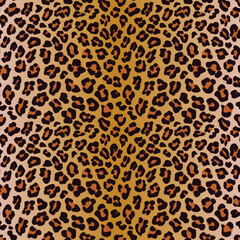 Leopard seamless pattern